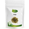 Kelp