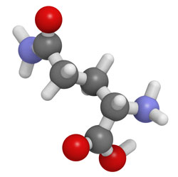 L-Glutamine