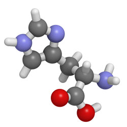 L-Histidine