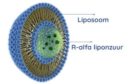 Liposomale R-Alfa Liponzuur