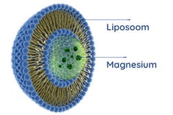 Liposomale Magnesium