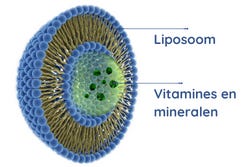Liposomale Multivitamine