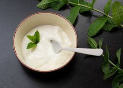 Saccharomyces Boulardii