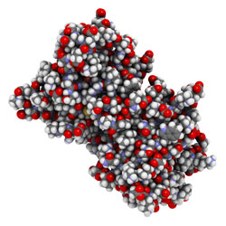 Superoxide Dismutase