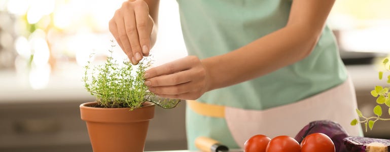 Vrouw plukt tijm in de keuken