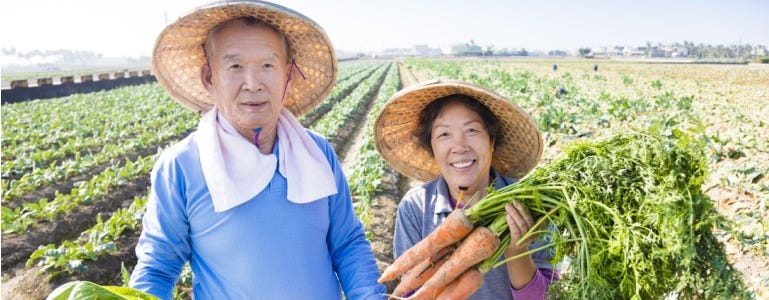 Japanse man en vrouw met wortels van het land