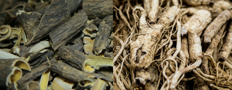 Siberische en Koreaanse Panax ginseng 