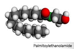 Het molecuul waaruit PEA is opgebouwd Het molecuul waaruit PEA is opgebouwd