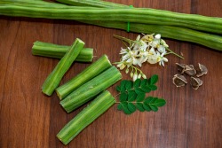 Stukjes moringa Stukjes moringa