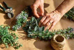 Hand plukt blaadjes van kruiden Hand plukt blaadjes van kruiden