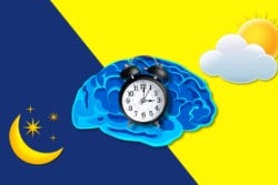 De biologische klok De biologische klok