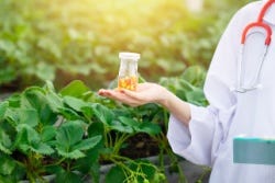 Hand met duurzaam geteelde plantaardige ingrediënten Hand met duurzaam geteelde plantaardige ingrediënten