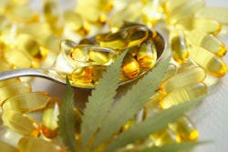 Softgels met olie en een hennepplantblad Softgels met olie en een hennepplantblad