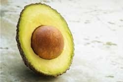 Avocado Avocado
