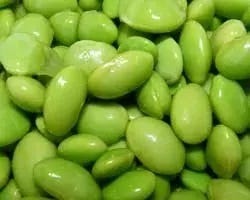 Groene bonen Groene bonen