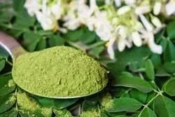 Moringa-Pulver