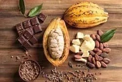 Superfoods: cacao en chocolade