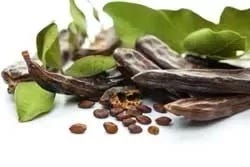 carob