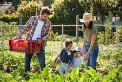 im Gemüsegarten arbeiten