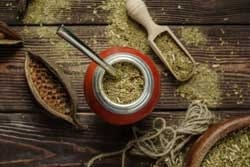 Yerba Mate