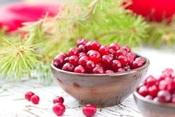 schaaltje met cranberries