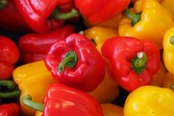Gele en rode paprika's Gele en rode paprika's