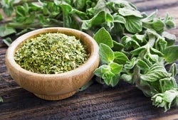 Oregano in een schaaltje Oregano in een schaaltje