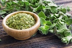 Oregano in een schaaltje