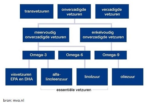 Tabel met verschillende vetzuren