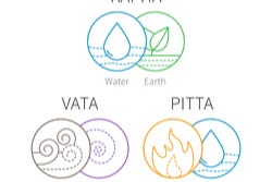 De drie basiskrachten ofwel dosha's vata, pitta en kapha De drie basiskrachten ofwel dosha's vata, pitta en kapha
