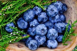 Blauwe bessen Blauwe bessen