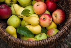Mand fruit Mand fruit