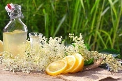 Vlierbloesems, citroenen, suiker en wodka