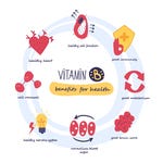 Functies van vitamine B3