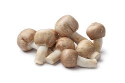 De agaricus blazei murill