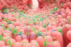 Mikrobiom