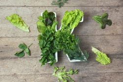 Boerenkool bevat onder meer vitamine K Boerenkool bevat onder meer vitamine K