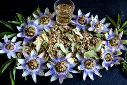 Passiebloemen in een theemelange Passiebloemen in een theemelange