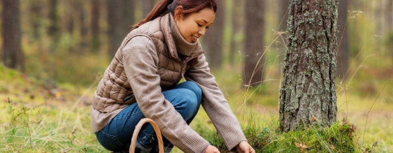 Vrouw zoekt paddenstoelen