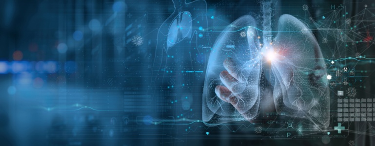 De menselijke longen