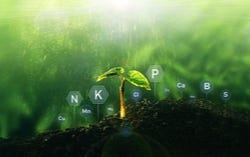 Chlorofyl wordt ook wel bladgroen genoemd Chlorofyl wordt ook wel bladgroen genoemd