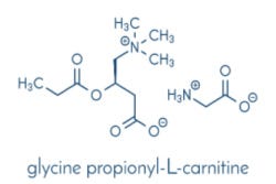Structuur van GPLC Carnitine Structuur van GPLC Carnitine
