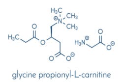 Structuur van GPLC Carnitine