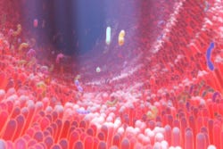 Grafische afbeelding van onze darmflora Grafische afbeelding van onze darmflora