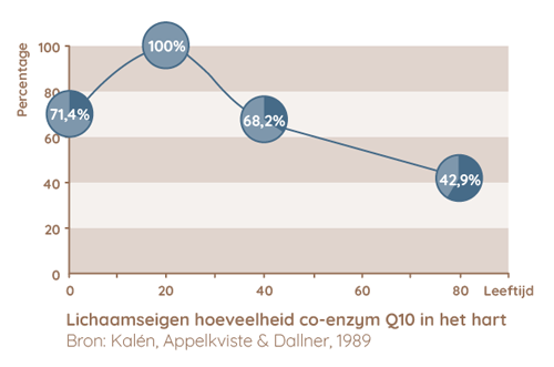 Vanaf het veertigste levensjaar neemt de lichaamseigen hoeveelheid Q10 duidelijk af Vanaf het veertigste levensjaar neemt de lichaamseigen hoeveelheid Q10 duidelijk af