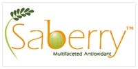 Logo Sarberry