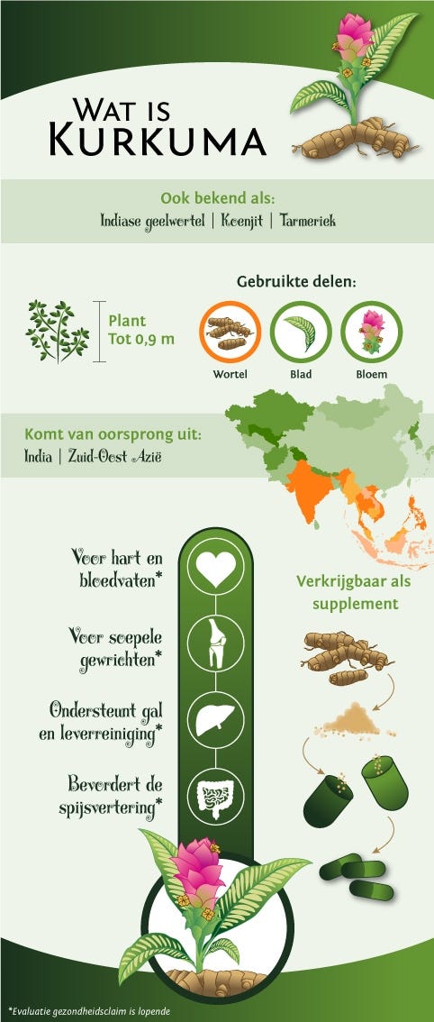 Infographic Kurkuma