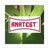 Anatest