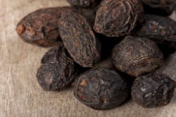 De gedroogde vruchten van de Saw palmetto De gedroogde vruchten van de Saw palmetto
