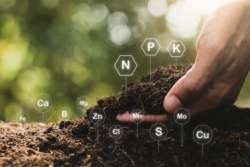 Mineralen in de bodem Mineralen in de bodem